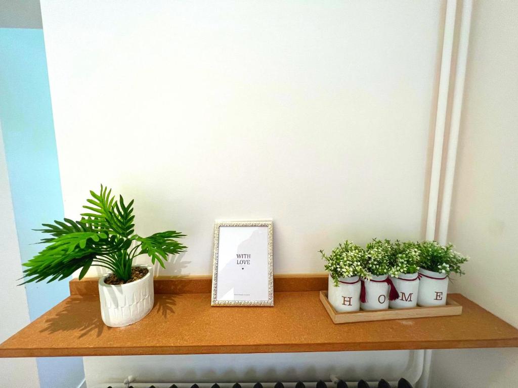 Studio Cooconing Jardin Privée