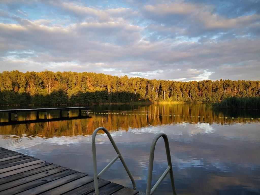a dock with a view of a lake with trees at Osada Kujanki - domek wakacyjny in Zakrzewo