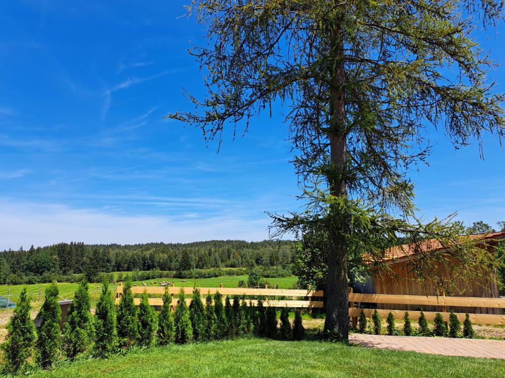 un árbol en un campo junto a una valla en Ferienwohnung Bauer en Böbing