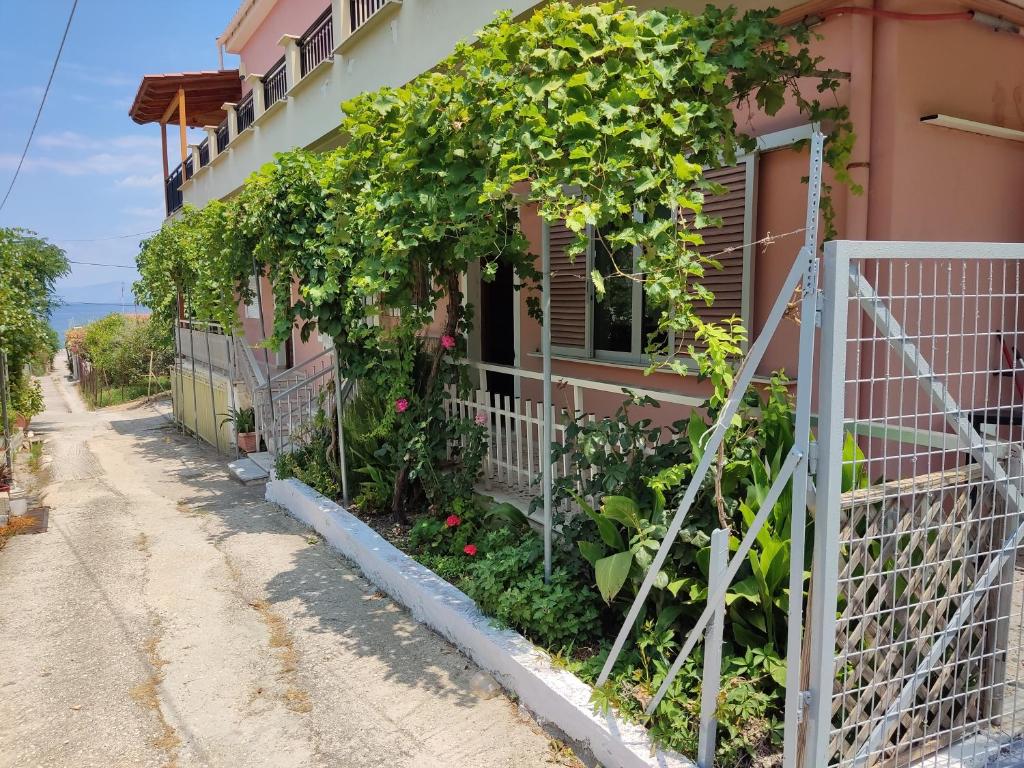 Ein Haus mit einem Haufen Reben drauf. in der Unterkunft The Lemon House in Káto Loutrón