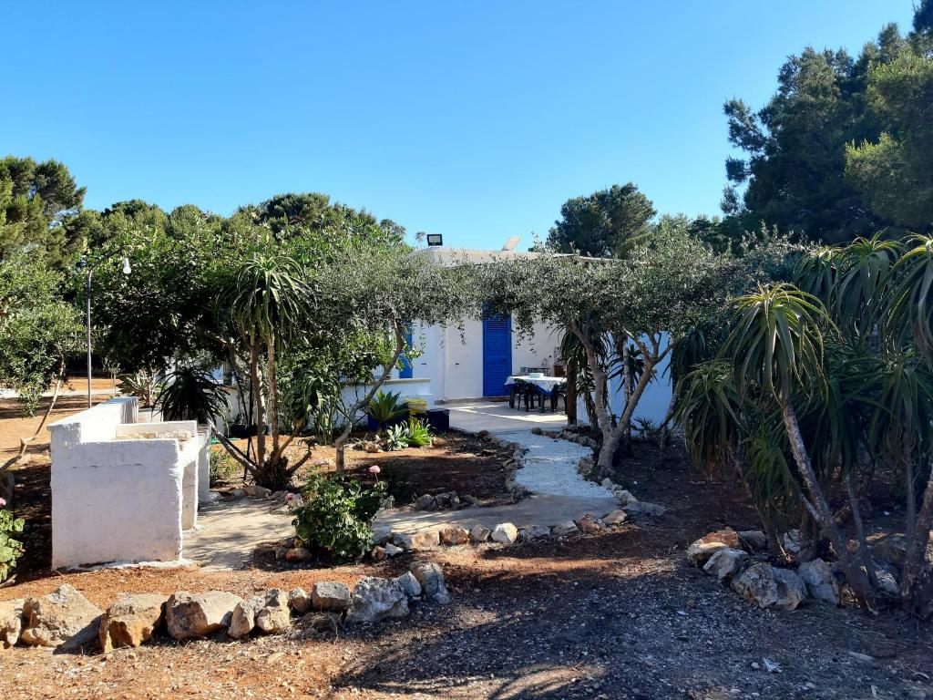 A garden outside Villa Debora Favignana (TP)