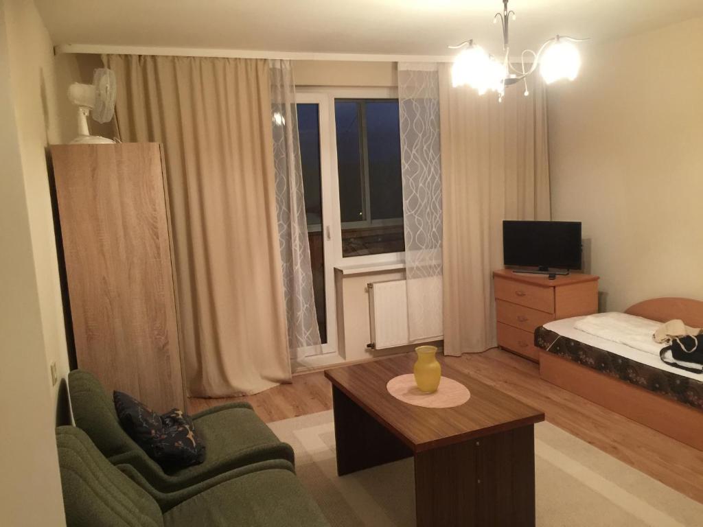 a living room with a bed and a couch and a table at Jaukus būstas netoli Šaulio skulptūros in Druskininkai