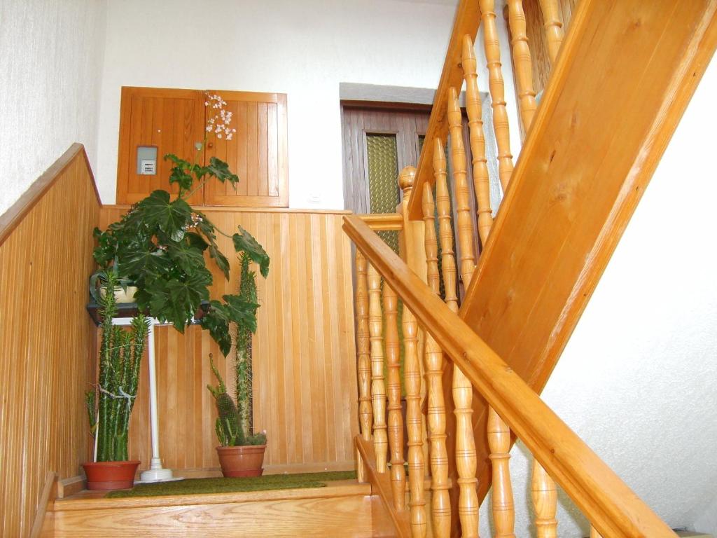 Fotografie z fotogalerie ubytování Guest House Raukar v destinaci Crni Lug