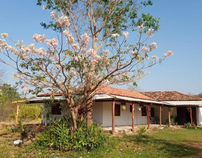 una casa con un árbol delante de ella en Chacara Cabana dos Lagos, en Riachão