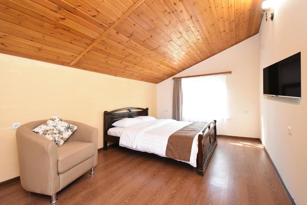 埃里温Forest Hills的一间卧室配有一张床、一把椅子和电视