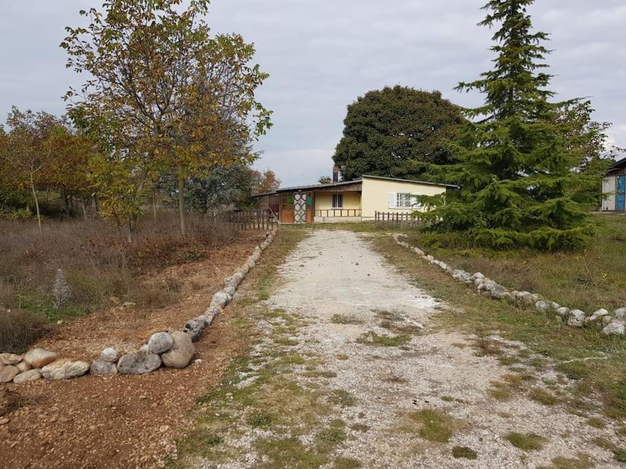 polna droga przed domem w obiekcie Chalet di montagna w mieście Trasacco