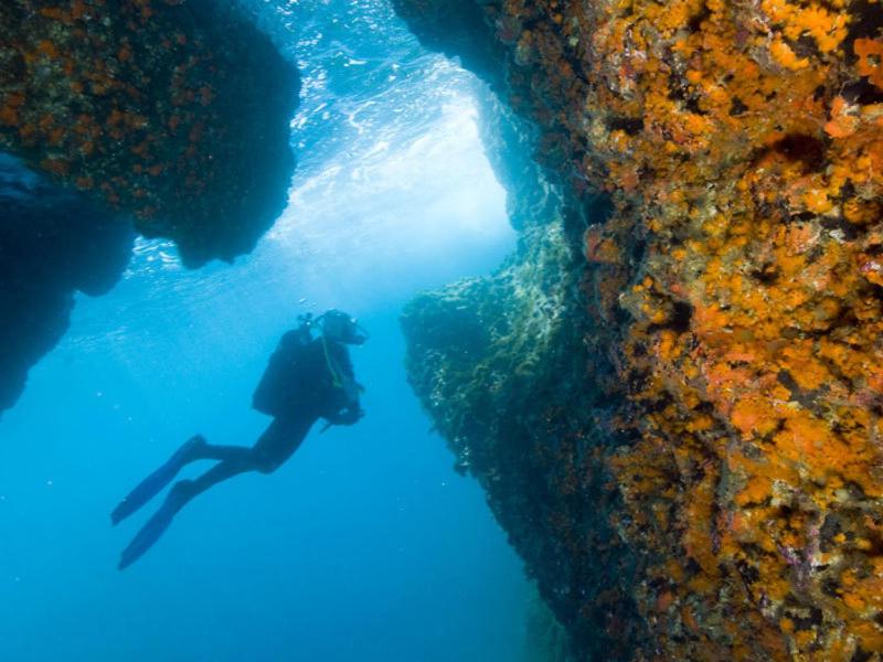 una persona che nuota nell'oceano vicino a una barriera corallina di Ortigia L'Antico Dammuso a Siracusa