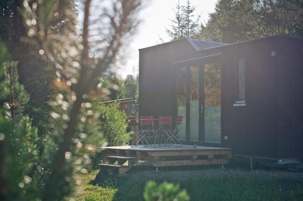 uma pequena casa com uma mesa de piquenique no quintal em Tiny House Nature 16 - Green Tiny Village Harz em Osterode
