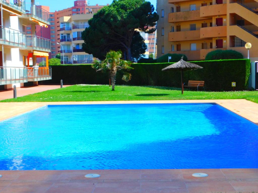 Bazén v ubytovaní GMID IMMO A222 Gregal Piso 2 habitaciones, parking y piscina alebo v jeho blízkosti