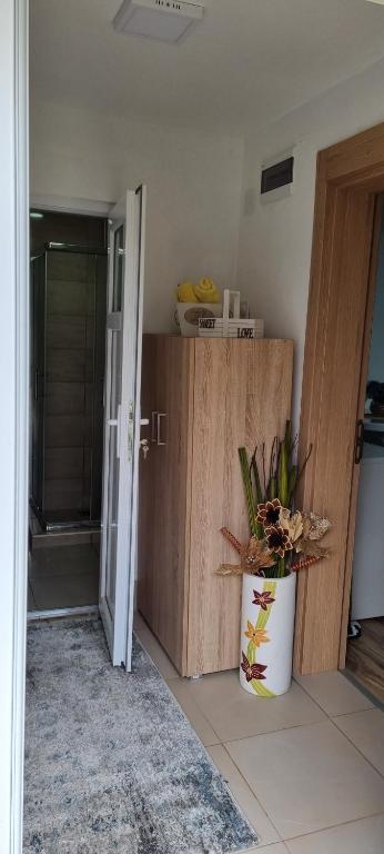 Кухня або міні-кухня у Apartman Studio Teona