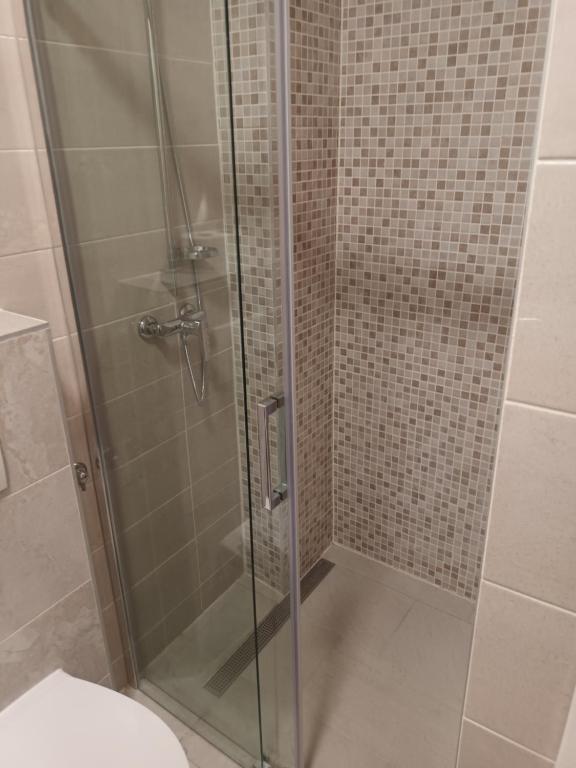 prysznic ze szklanymi drzwiami i toaletą w obiekcie Apartment penthouse & apartment studio Franci w mieście Pag