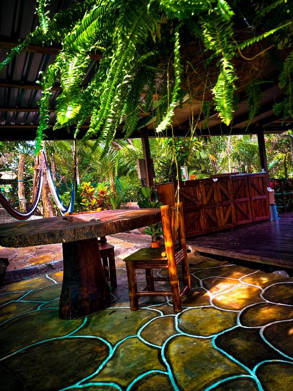 Zahrada ubytování Momotus Glamping