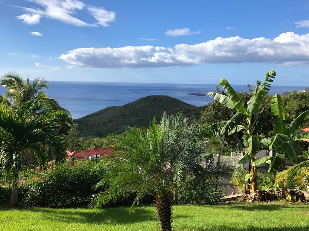 a view of the ocean from a yard with palm trees at Caribbean Sea in Bouillante