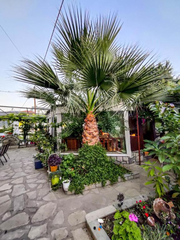 Patra Rooms Skala Prinou, Prinos – Updated 2024 Prices