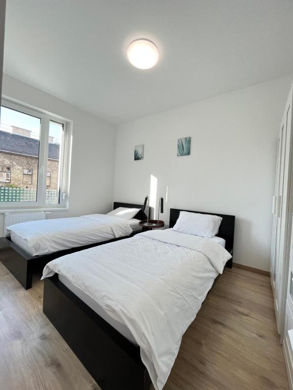 Duas camas num quarto com paredes brancas e uma janela. em B 304, apartments in the heart of Budapest em Budapeste