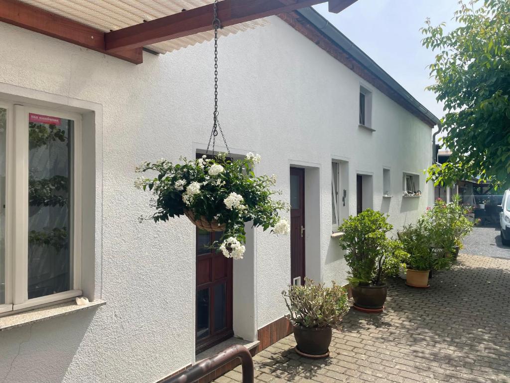 a house with a flower basket hanging from its door at An der Bürgeheide in Finsterwalde