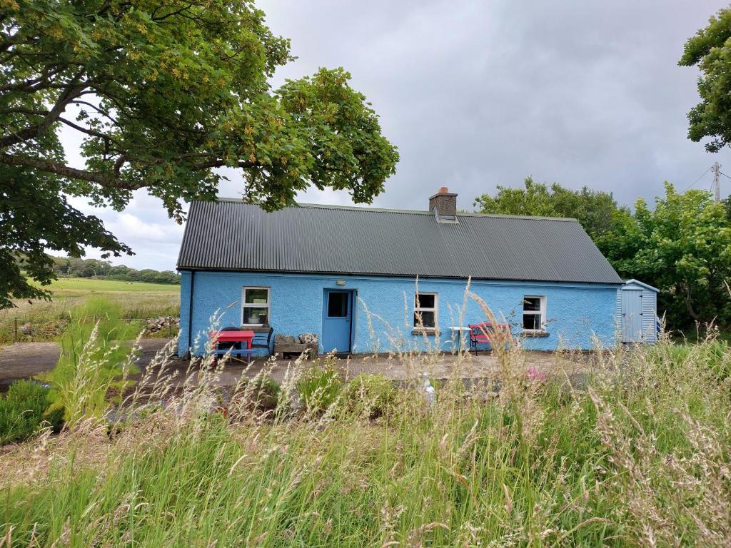 a blue house with a black roof in a field at Marsh Cottage F91 N4A9 in Moneygold