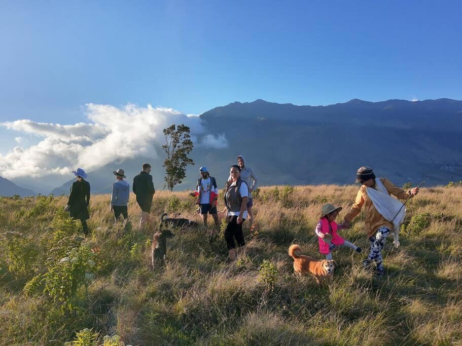 Galería fotográfica de TINY HOUSE , frente al lago en Calima