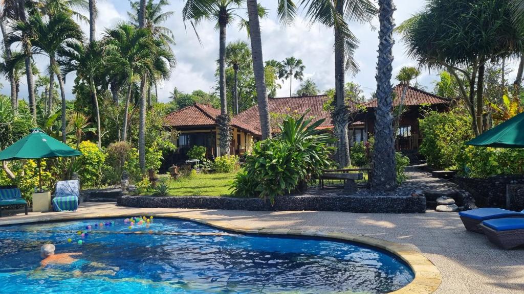 a pool in front of a house with palm trees at Kebun Impian in Seraya