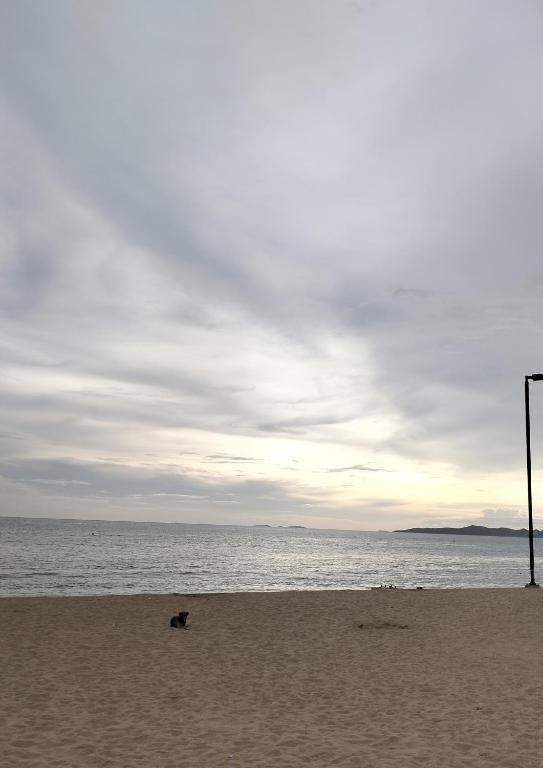 Titanic Residence-7 minute walk to the Beach - Resim 28