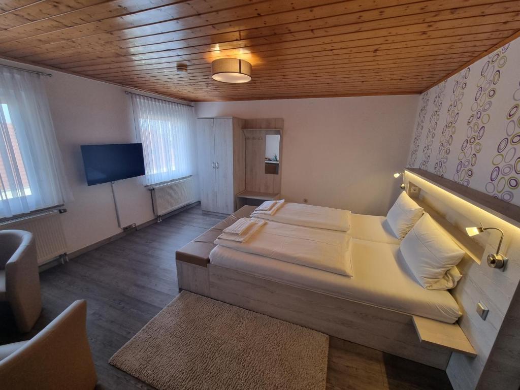 una camera con un grande letto e una televisione di Bergschänke & Berghotel a Bresinchen