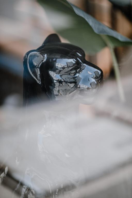 Prince Albert Lyon Bercy - Resim 20