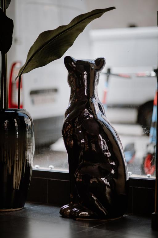 Prince Albert Lyon Bercy - Resim 40