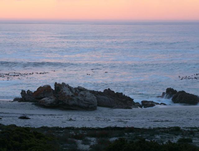 a group of birds sitting on the rocks in the ocean at Seester Accommodation in Lambertʼs Bay