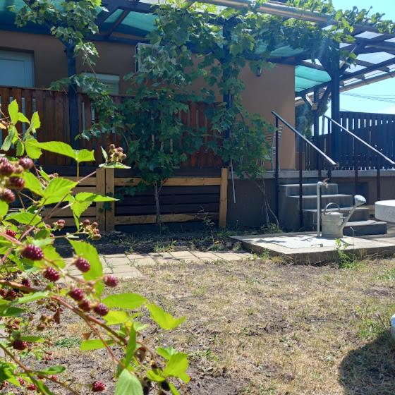 Zahrada ubytování Írisz Apartman