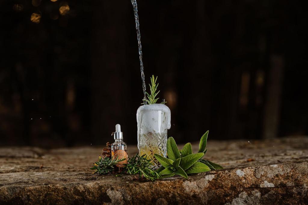 Kép Vallicciola Nature Hotel szállásáról Tempio Pausaniában a galériában