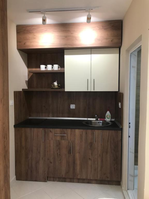 Kuchyň nebo kuchyňský kout v ubytování Apartments Ada Bojana