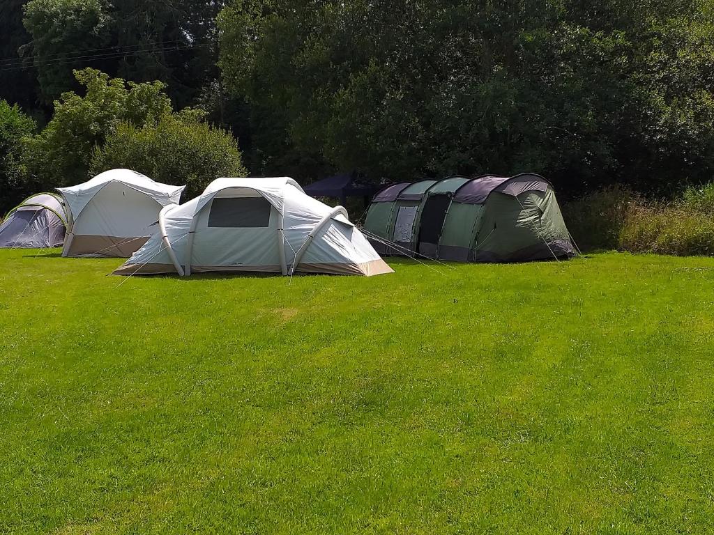 Foto dalla galleria di St Mullins Camping a Saint Mullins