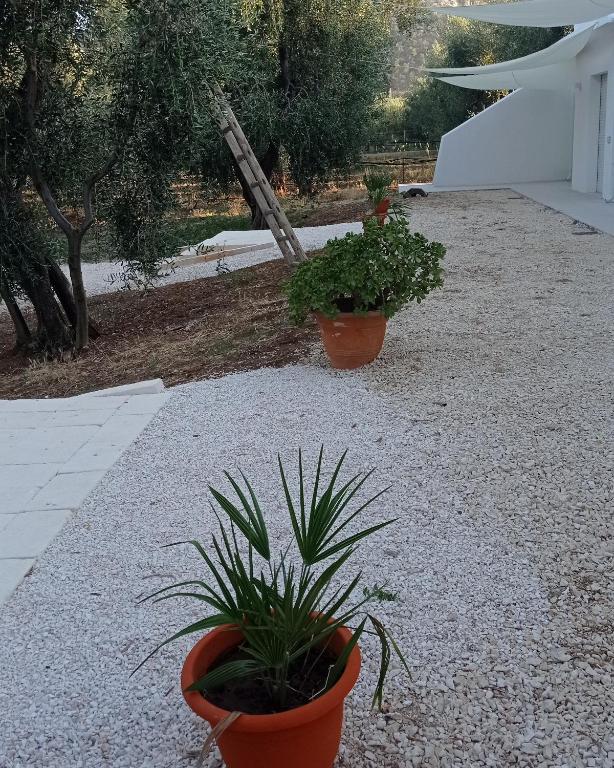 Dimora Basso - Two-Bedroom Apartment