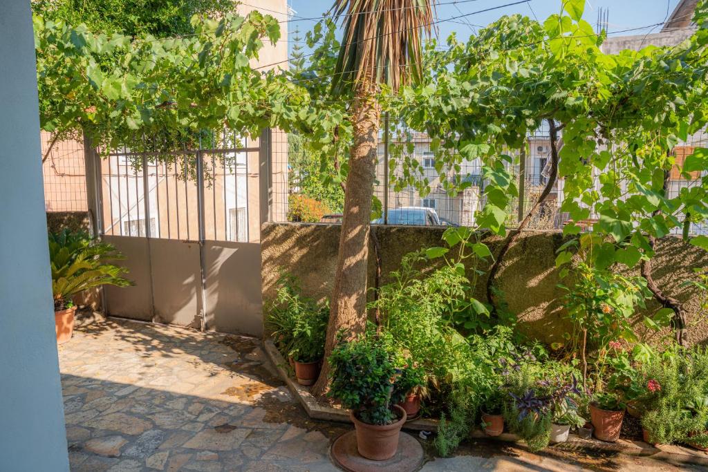 En have udenfor Annas Apartment