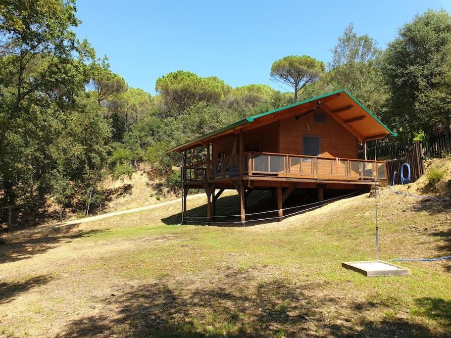 una casa en la cima de una colina con árboles en Rustic Cabin in the Woods/Cabaña en el bosque, en Girona