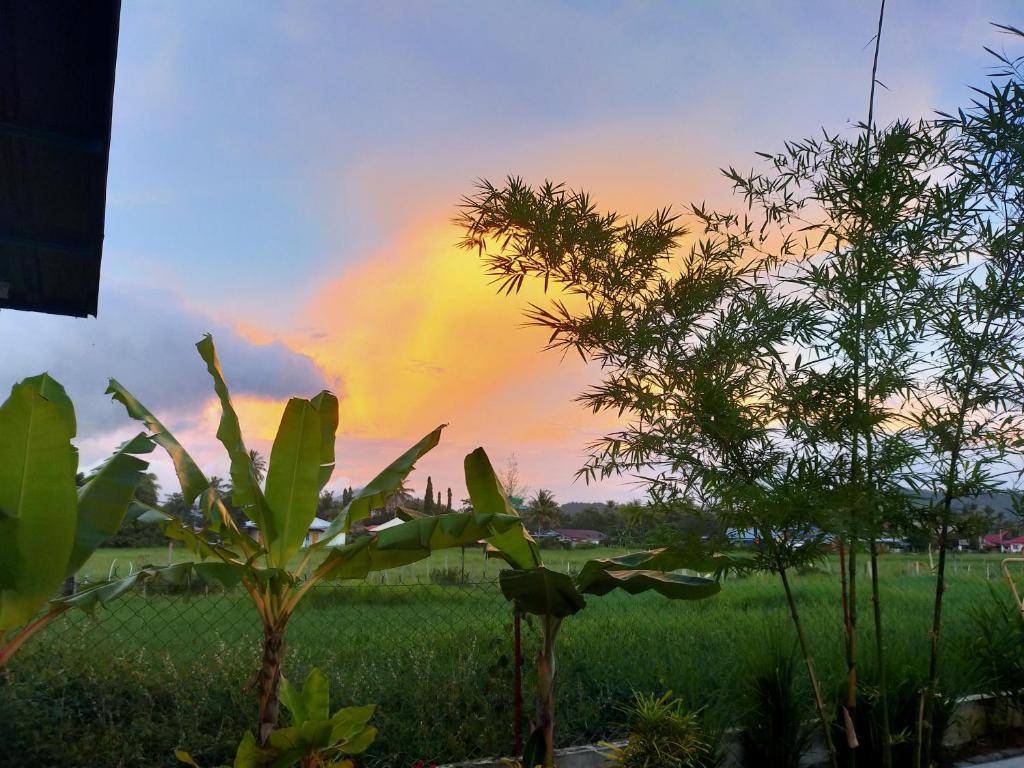 Zahrada ubytování Langkawi Country Lodge2
