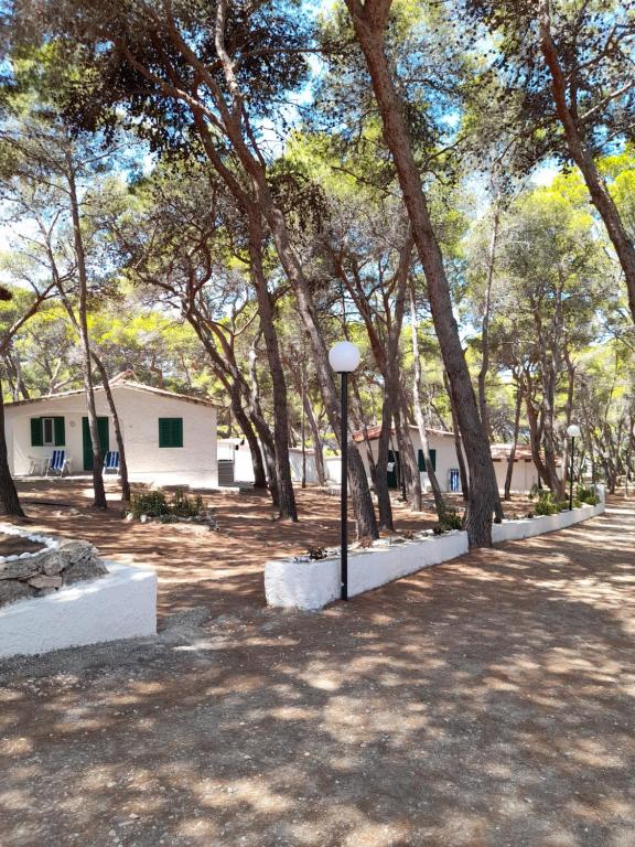 Fotografie z fotogalerie ubytování Villaggio Internazionale Punta del Diamante v destinaci San Domino