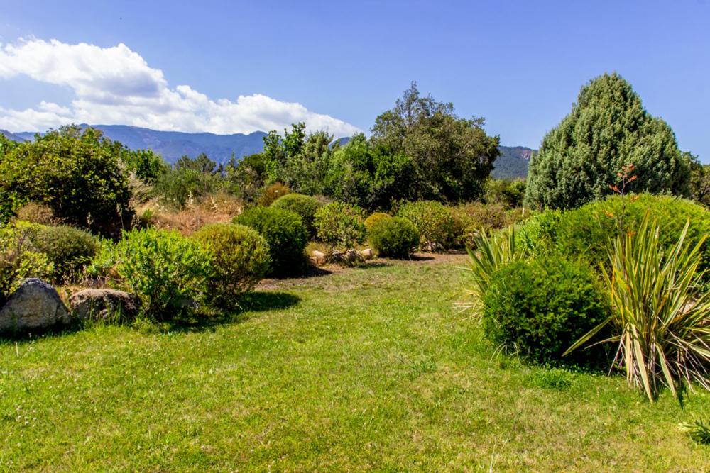 Fotografia z galérie ubytovania Mini villa dans une résidence proche de Porto Vecchio v destinácii Lecci