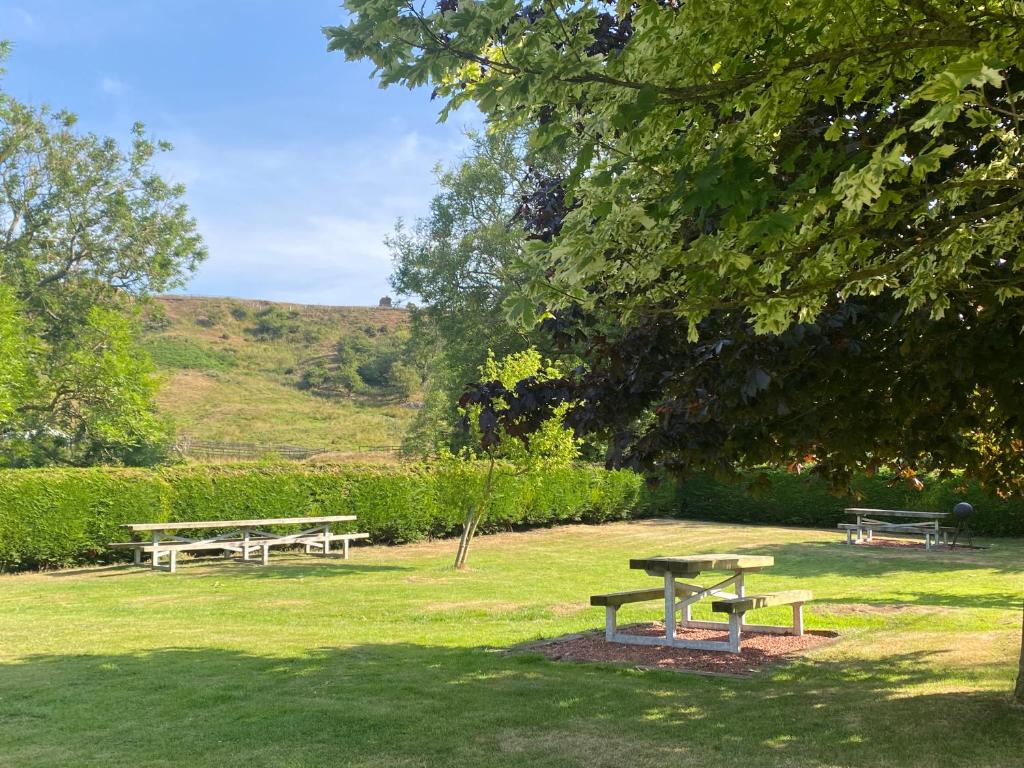 twee banken en een picknicktafel in een park bij Craven Garth Cottages in Rosedale Abbey