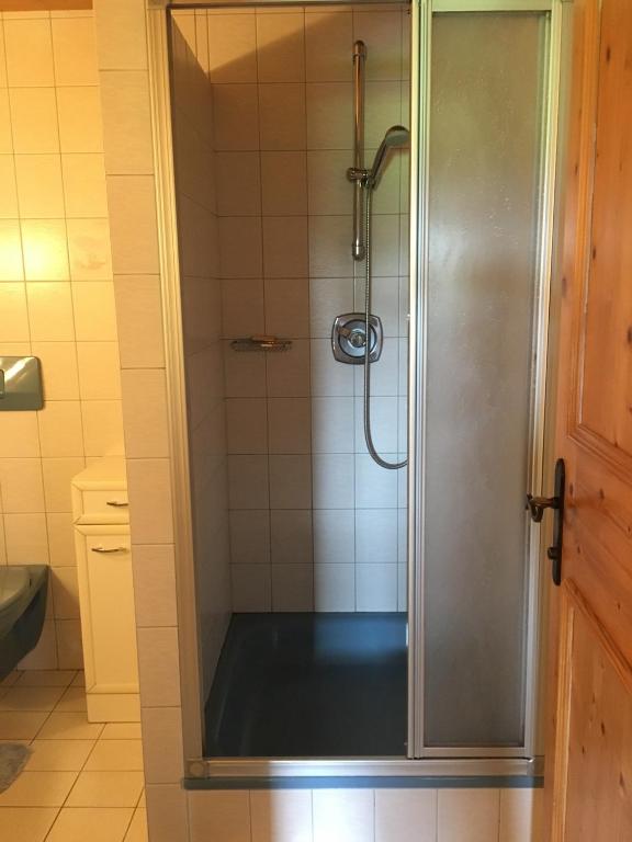 a shower with a glass door in a bathroom at Appartement Oberlacken in Sankt Johann in Tirol
