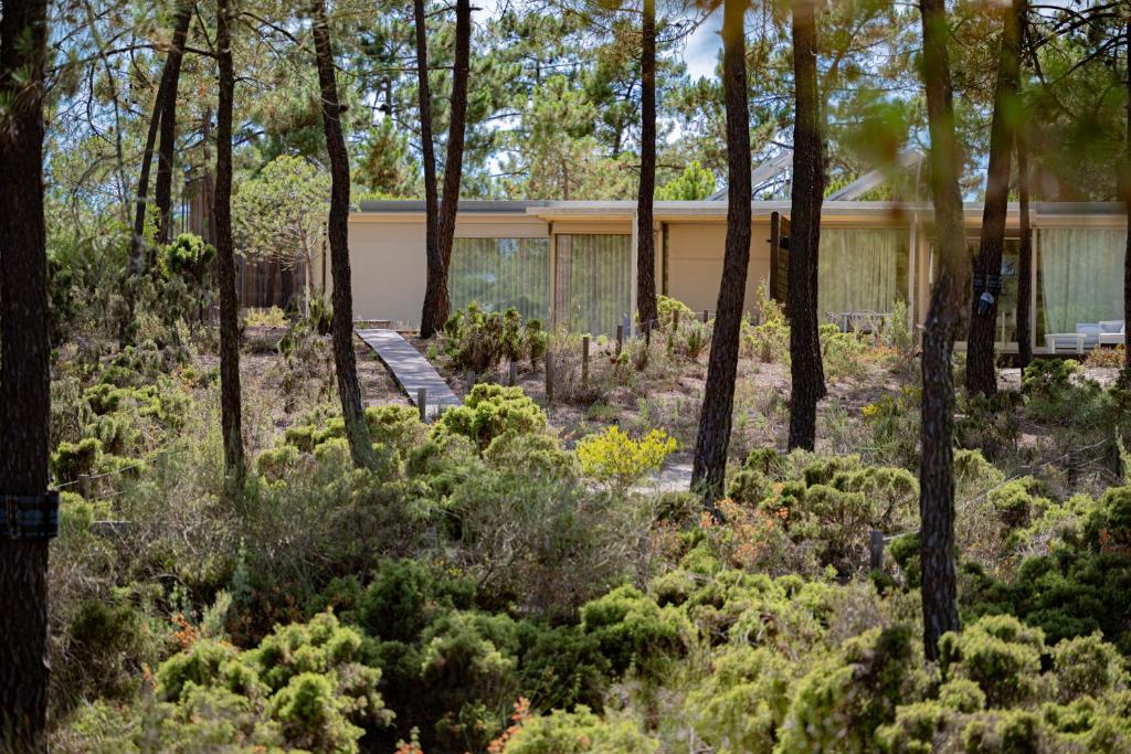 a house in the woods with trees and plants at Pestana Troia Eco-Resort & Residences in Troia