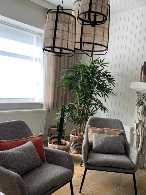 a living room with two chairs and potted plants at Boekelbaan 161 in Zwalm