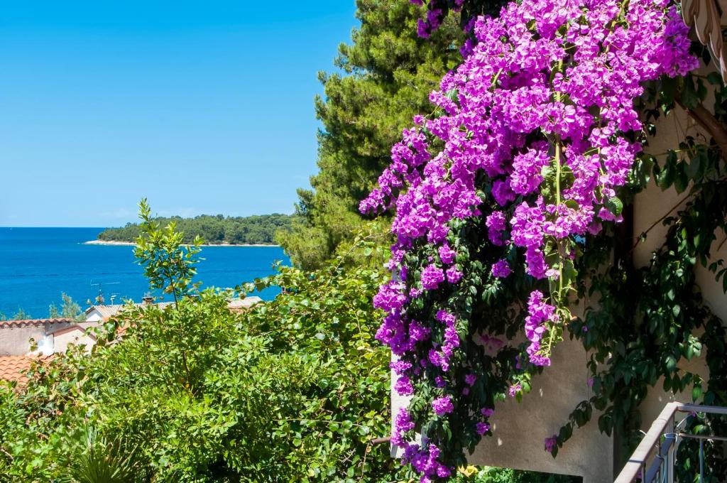 Rovinj12-close to center and FREE PARKING
