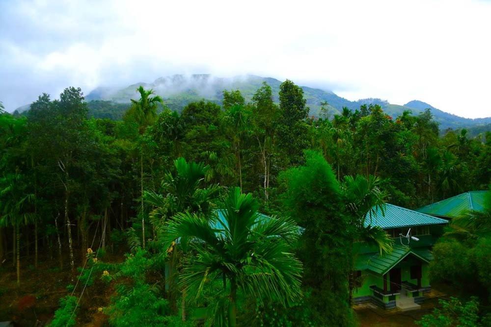 uma casa no meio de uma floresta de árvores em Shibi's Tea Garden Heritage em Vayittiri