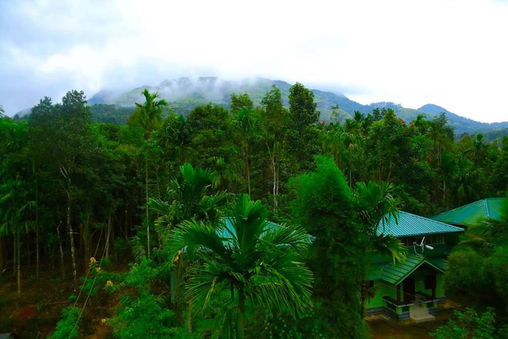 Gallery image of Shibi's Tea Garden Heritage in Vayittiri
