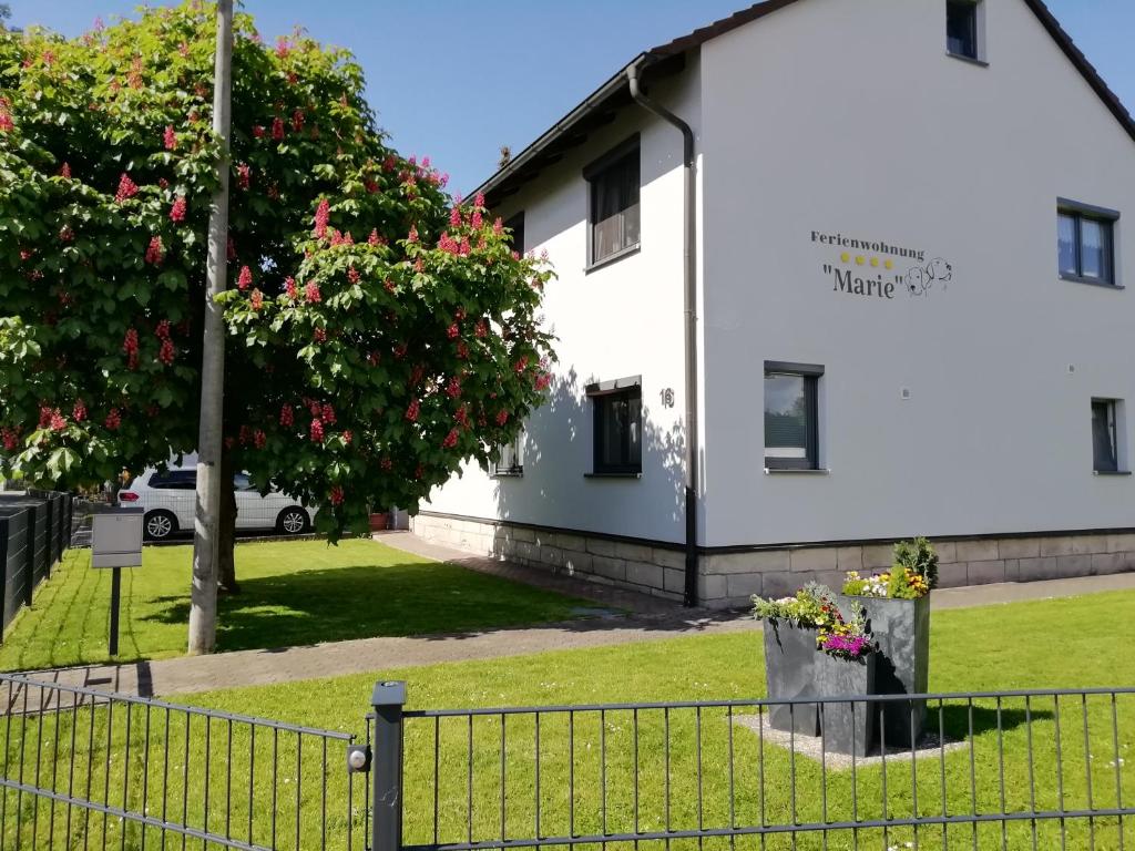 a white building with a tree and a fence at Ferienwohnung Marie in Michelau