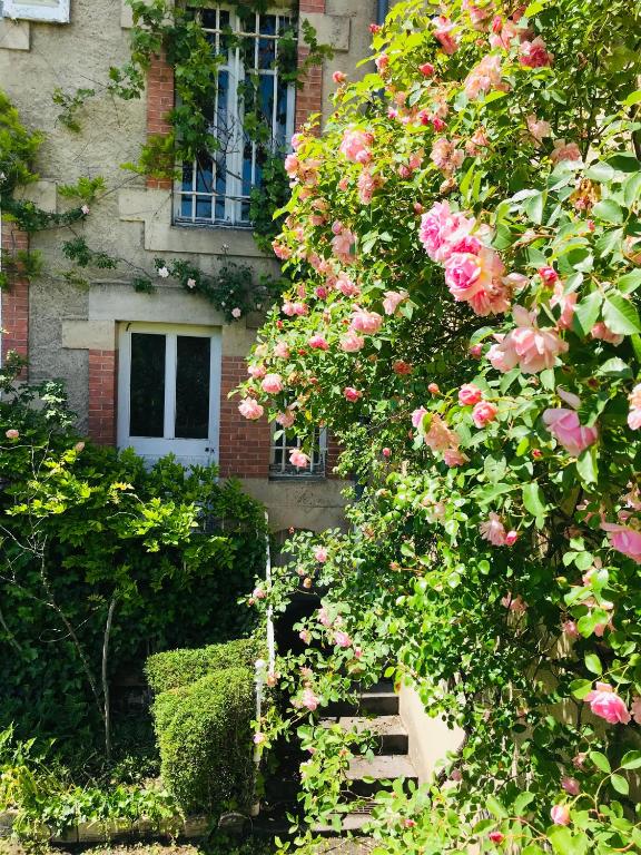 Vonkajšia záhrada v ubytovaní La Maison des Roses