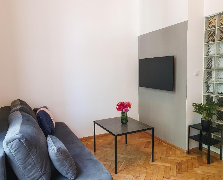 Televízia a/alebo spoločenská miestnosť v ubytovaní Classic apartments Pilsudskiego street