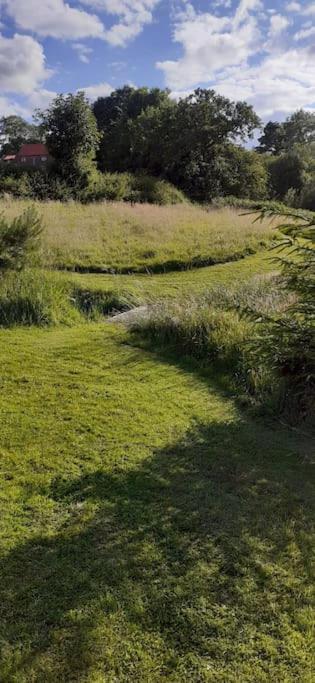 Meadowsweet @ Laneside photo