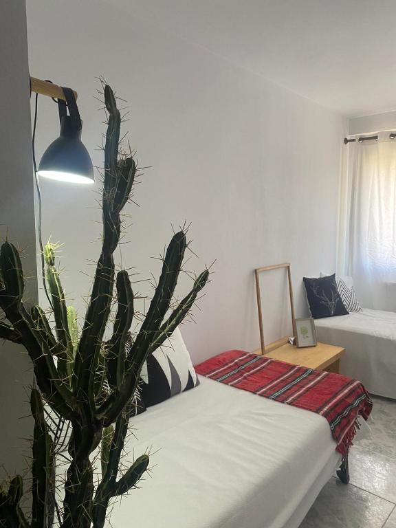 Postel nebo postele na pokoji v ubytování Apartamento Rincón del Cielo